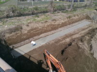 platea argine